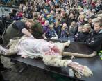 El zoológico dice que su actuación forma parte de un gran paquete de difusión de conocimientos. FOTO REUTERS