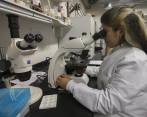 Científicos consultados dicen que sin presupuesto óptimo y sin una línea continua en la dirección de la entidad, la producción de desarrollo científico de la nación seguirá frenada. Aseguran que el Gobierno incumplió las promesas. FOTO Donaldo Zuluaga