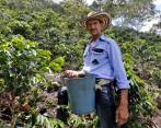 Joaquín Berrío hizo del café su vida entera