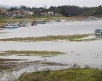 EPM reportó que el embalse de El Peñol (foto), en el oriente, registra actualmente un nivel de 67 por ciento. FOTO robinson sáenz