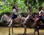 Dos buenas causas que usted puede apoyar en indiegogo.com