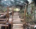 Las hojas secas, amarillentas y sin cuidado son la constante en el Jardín Botánico.FOTOS Mongabay