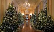 La primera ornamentación temática de la Casa Blanca fue escogida por Jacqueline Kennedy en 1961. Desde entonces es una tradición. FOTO REUTERS