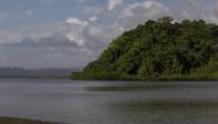 La construcción del puerto en este lugar afectaría tanto a los manglares como a los peces migratorios y los corales. Foto: Esteban Vanegas