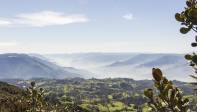 Este lugar está asociado al soporte de actividades como la regulación climática e hídrica, calidad del agua por retención de sedimentos, abastecimiento de agua para consumo. Foto: Carlos Velásquez