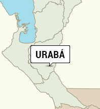 <span class="priority-content" mlnid="idcon=26552098;order=1.0">Volver a Urabá</span>