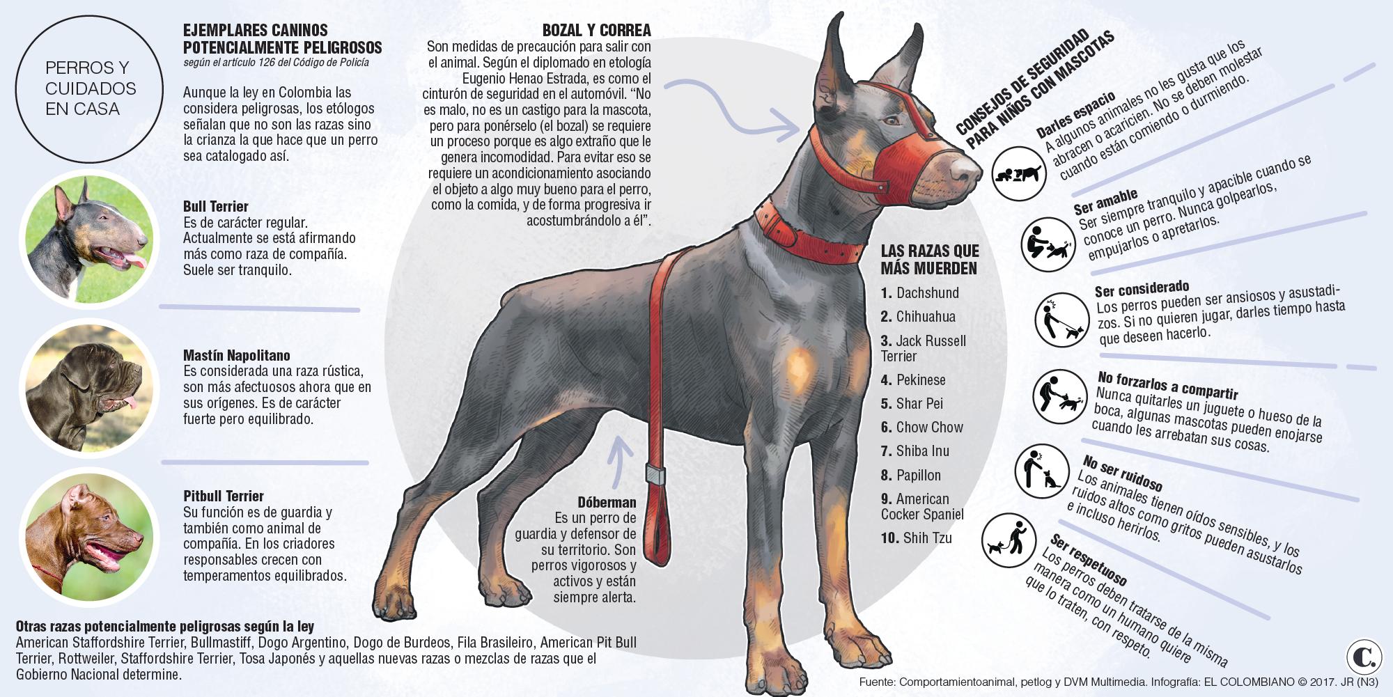 InfogrÃ¡fico
