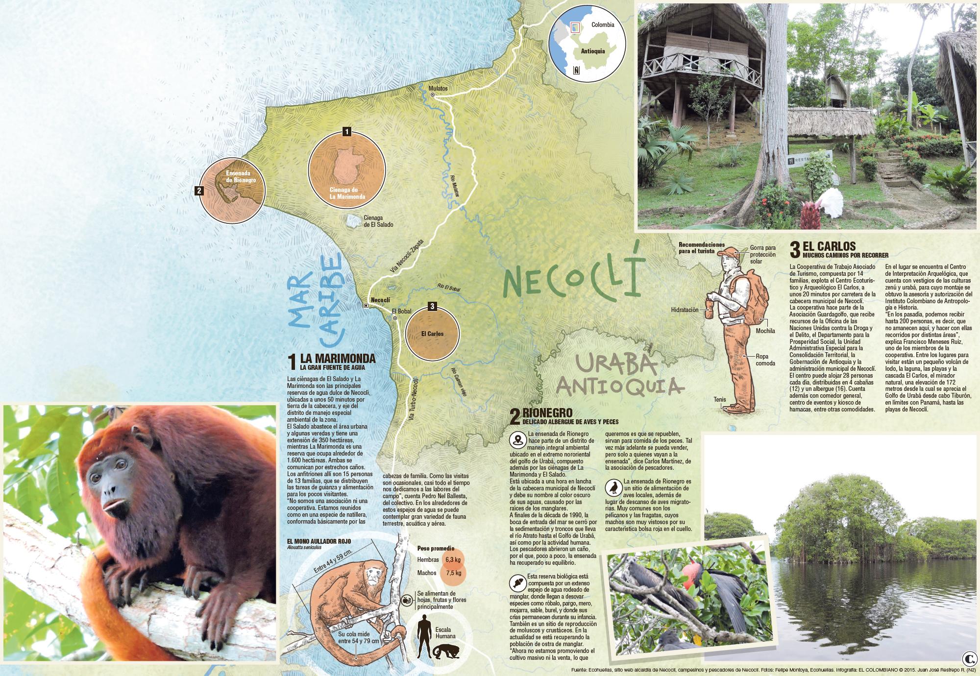 InfogrÃ¡fico