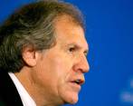 Luis Almagro, secretario general de la OEA. FOTO COLPRENSA
