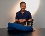 Cómo hacer una cama para su perro con elementos caseros