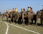 En Nepal juegan polo con elefantes