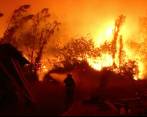 Chile enfrenta su mayor desastre forestal