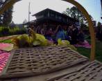 Picnic, el parche de moda