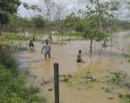 Inundaciones en veredas de Chigorodó por el invierno. FOTO CORTESÍA DAPARD