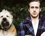 En la imagen se aprecia a Gosling y George. Fotos: Gage Skidmore, Wikipedia, Getty Images, Stars News. 