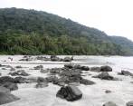 El Parque Nacional Natural Gorgona es un destino ecoturístico ubicado en el pacífico colombiano. Allí, los visitantes pueden hacer senderismo, buceo y avistamiento de aves. FOTO Colprensa