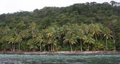 Tras anunciar el cierre de la prisión, la Presidencia declaró la isla Gorgona como Parque Nacional el 25 de noviembre de 1983. FOTO: Manuel Saldarriaga