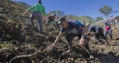 En el ETCR de Santa Lucía, Ituango (foto), le apuestan a cultivar el campo como proyectos económicos. FOTO Donaldo Zuluaga