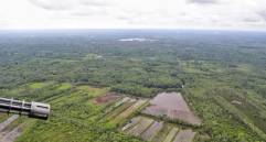 Erradicación de cultivos ilícitos en Tumaco. Imagen de referencia. FOTO COLPRENSA