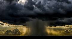 La fotografía de Jaime Pérez, Hongo de agua. 