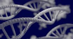 La tercera fase del proyecto Encode se publicó esta semana a través de 14 artículos. Foto: Pixabay