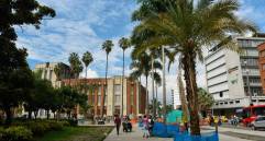 Las obras del Paseo de Bolívar II incluyen la siembra de 37 nuevos árboles en el centro de Medellín. FOTO: CORTESÍA DE LA ALCALDÍA.