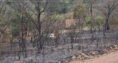 Fotografía cedida por la Agencia de Boliviana de Información (ABI), que muestra uno de los lugares afectados por los incendios este lunes, en el municipio cruceño de Roboré (Bolivia). FOTO EFE