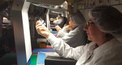 Vacuna de Oxford, que producirán México y Argentina, estaría lista a inicios de 2021