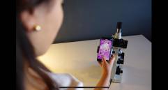 Según el Ministerio de Salud, en Colombia aproximadamente 12 millones de personas habitan en zonas de riesgo para la transmisión de malaria. Foto: Cortesía