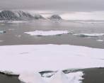 Se cree que el calentamiento de la región ártica está alterando el curso de los patrones de viento en las latitudes medias y subtropicales y causando eventos climáticos severos. FOTO: COLPRENSA.