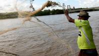 Los peces del Bajo Cauca, Nordeste y Magdalena Medio, en su mayoría Bagre, Tilapia negra, Bocachico y Mojarra se contaminan del mercurio. FOTO MANUEL SALDARRIAGA