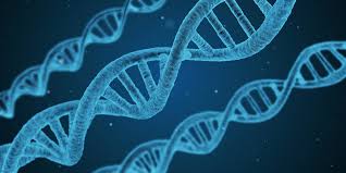 Así nos asombrará la ciencia en 2019