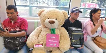 osos de peluche de un metro