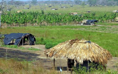 Censo Nacional Agropecuario evitará malgastar inversiones ...