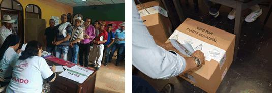 Las elecciones cafeteras en Antioquia están programadas para este domingo 9 de septiembre. Foto: Cortesía Federación Nacional de Cafeteros.