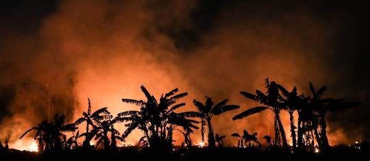 Deforestación en la Amazonia de Brasil ha acabado con 87 millones de hectáreas de cobertura vegetal. FOTO: EFE