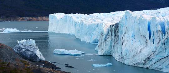 Varias acciones buscan reversar el cambio climático global producido por los humanos. FOTO SHUTTERSTOCK