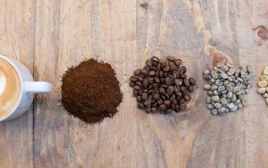 Claves para disfrutar de una buena taza de café