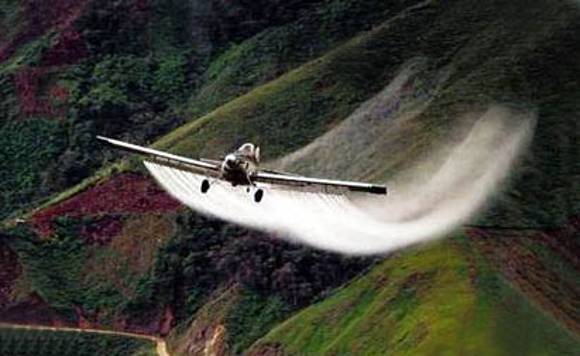 La Corte podría resucitar la aspersión con glifosato?