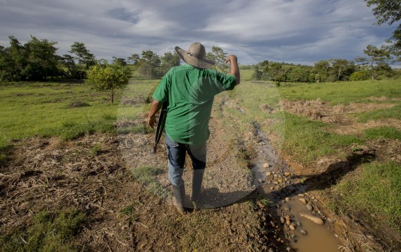 La Contraloría alertó sobre irregularidades en este proceso. FOTO EL COLOMBIANO