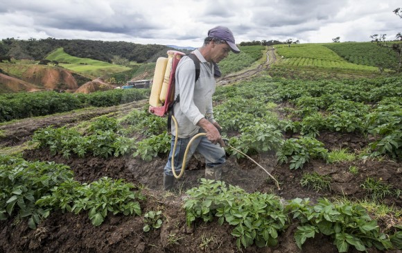 Sectores como agricultura y alimentos; bebidas y tabaco tendrán que cambiar sus dinámicas de trabajo si no quieren verse impactados por el cambio climático. FOTO JAIME PÉREZ