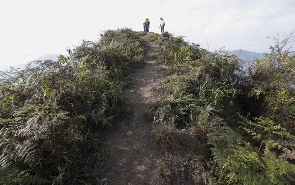 Cerro tusa en el Municipio de Venecia declarado Parque natural y arqueológico de Colombia. Foto: Manuel Saldarriaga Quintero