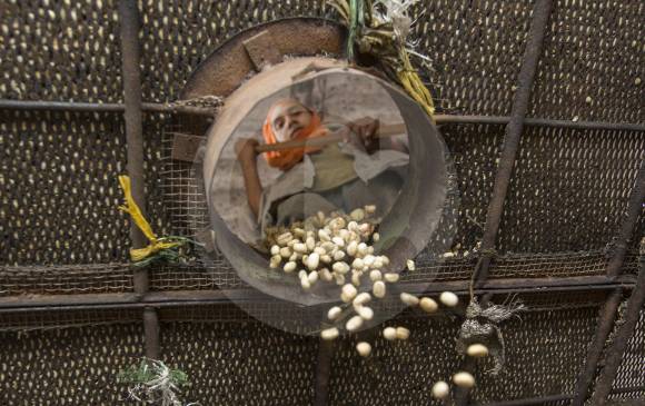 Los caficultores esperan que el gobierno defina el precio mínimo de la producción de café para que entregue ayudas que prometió. Foto: Manuel Saldarriaga.