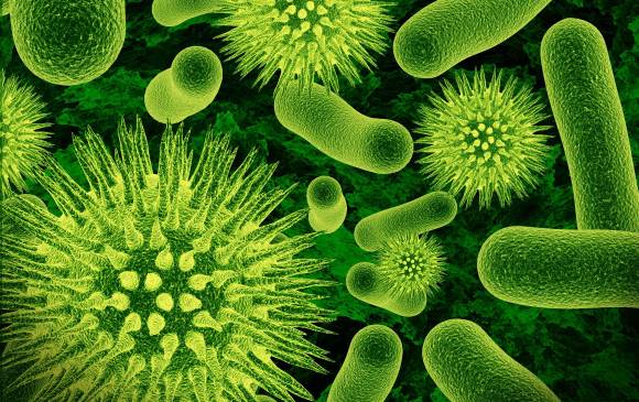 Las bacterias podrían ser la clave en casos de depresión