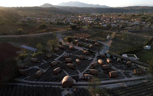 Tequila, con unos 40.000 habitantes, estÃ¡ situado unos 70 km al oeste de Guadalajara y se caracteriza por su clima semiseco y sus grandes campos de agave. FOTO AFP