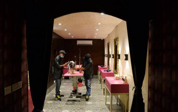 Así es Critterati, el primer hotel de lujos para perros en India. FOTO AFP