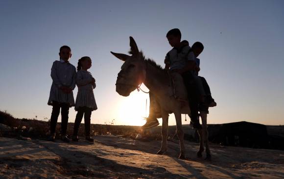 Niños palestinos van en burro al colegio en la Franja de Gaza. FOTO: EFE