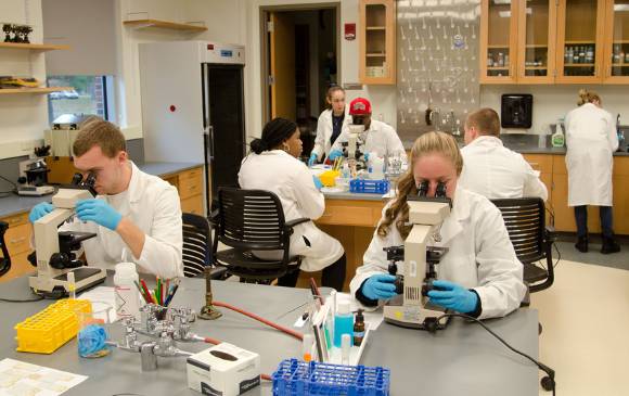 Así nos asombrará la ciencia en 2019