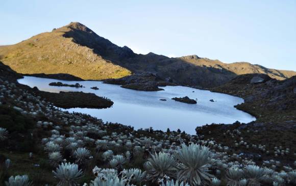 Páramo de Santurbán. FOTO COLPRENSA
