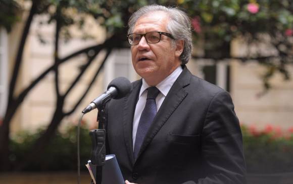 Secretario General de la OEA, Luis Almagro, aplaudió decisión de retomar diálogos con el ELN. FOTO COLPRENSA